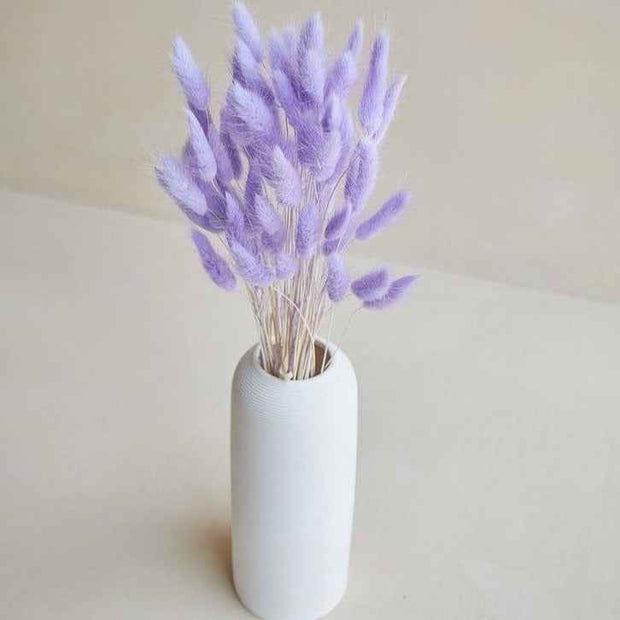 Lilac Bunny Tails Dried Flower