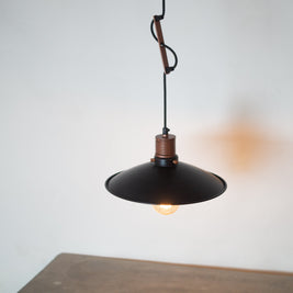 Telegraph Hanging Light