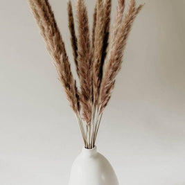 Close up of Mini Brown Pampas dried flowers for bouquet and vase arrangements