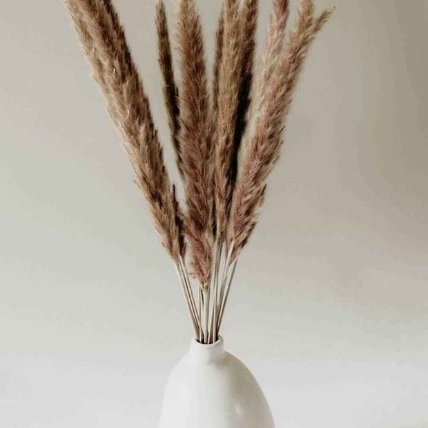 Mini Brown Pampas Grass Set of 10 | Dried flowers Pampas for Vase Decor