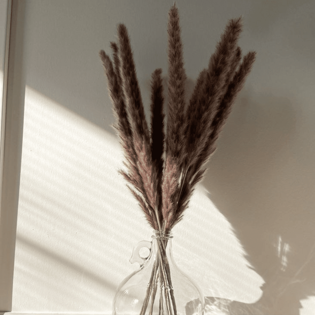 Mini Brown Pampas dried flowers bunch for vase decor and aesthetic home styling by ArteCasa