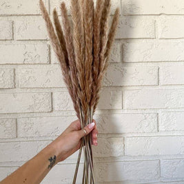 Mini Brown Pampas dried flowers for interior styling and aesthetic home decor