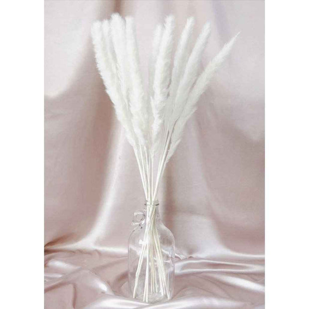 Mini White Pampas Set of 10 Sticks | Non-Shedding Dried Pampas for Vase Filler | Arte Casa