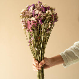Multicolor Statice dried flowers bunch for aesthetic decor and gifting