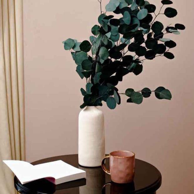 Natural Million Dollar Eucalyptus Stems – Decorative Floral Arrangement