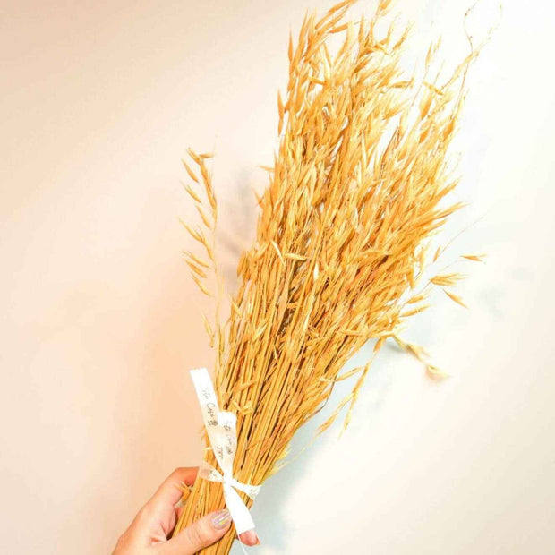 Natural Oats Dried Flower Bunch | Elegant Dried Floral Decor for Vase Styling | Arte Casa