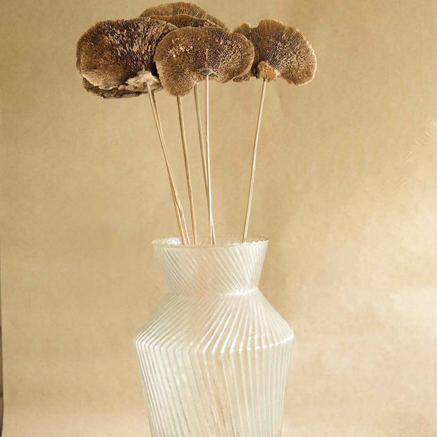 Natural Sponge Mushroom Dried Flower | Natural Home Décor