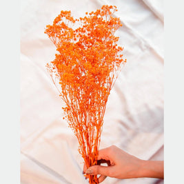 Orange Baby Breath Decorative Floral Stems for Home Styling