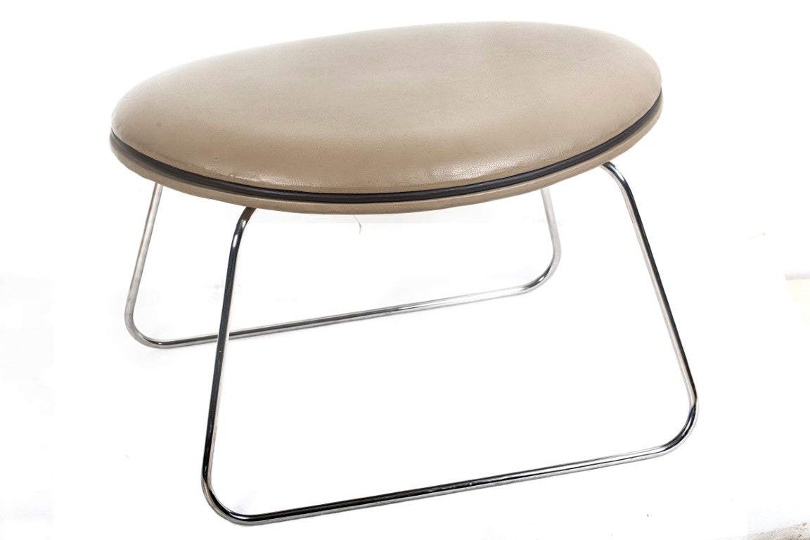 Ostrich Ottoman