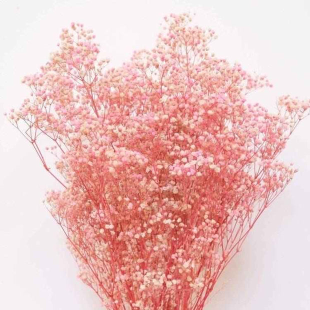 Pastel Pink Baby Breath Dried Flowers | Natural Decorative Dried Floral Bunch for Home Décor