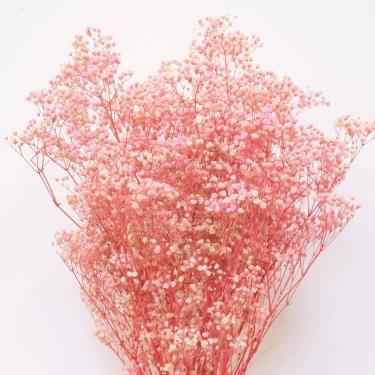Pastel Pink baby breaths Dried Flowers