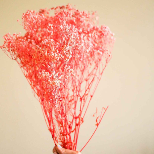 Pastel Pink Baby Breath Dried Flowers | Natural Decorative Dried Floral Bunch for Home Décor
