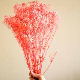 Pastel Pink Baby Breath Dried Flowers for Home Decor Styling