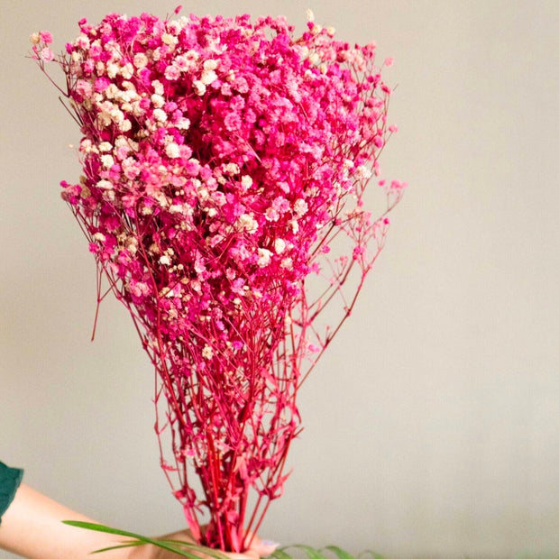 Pink Baby Breath dried flowers bunch for vase decor and home styling by ArteCasa