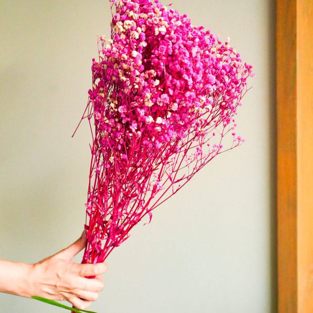 Pink Baby Breath dried flower arrangement for aesthetic home decor and bouquet styling