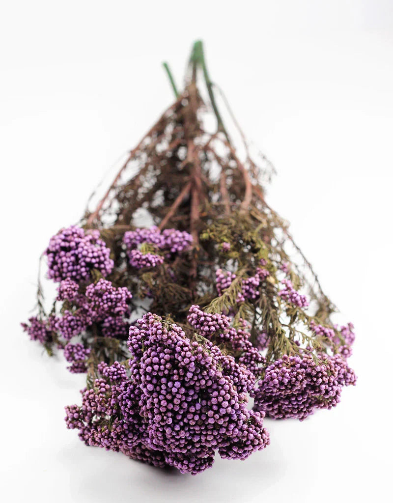 Purple Dried Rice Flower – Natural Forever Floral Décor | ArteCasa - https://artecasa.in/