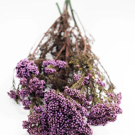 Purple Dried Rice Flower – Natural Forever Floral Décor | ArteCasa - https://artecasa.in/