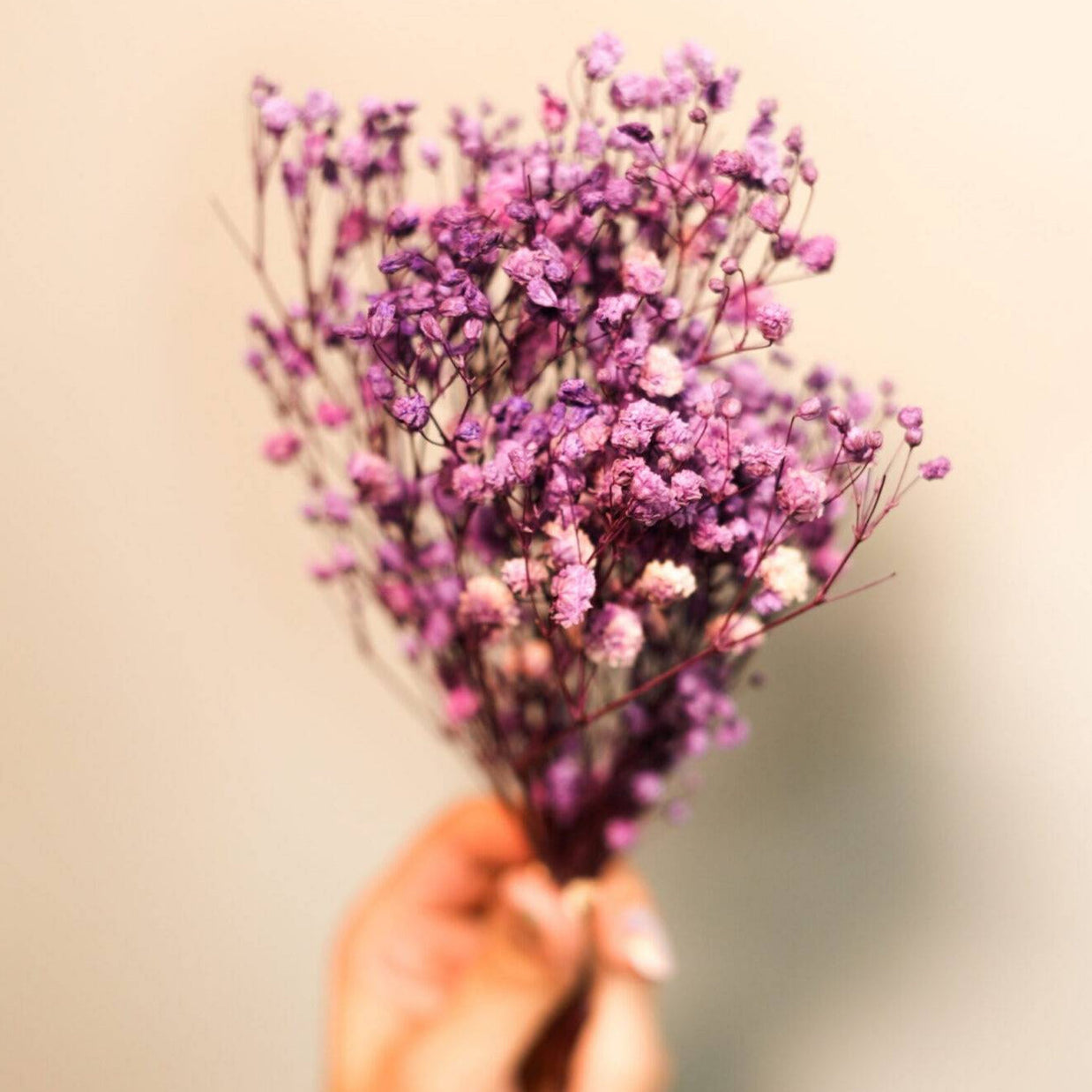Purple Baby Breath arrangement for aesthetic vase decor and interior styling