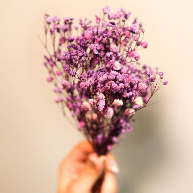 Purple Baby Breath arrangement for aesthetic vase decor and interior styling