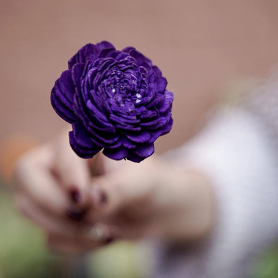 Purple White Sola Dried Flowers Arrangement in Decorative Vase