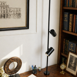 FDL132 Twin Focus Study Light