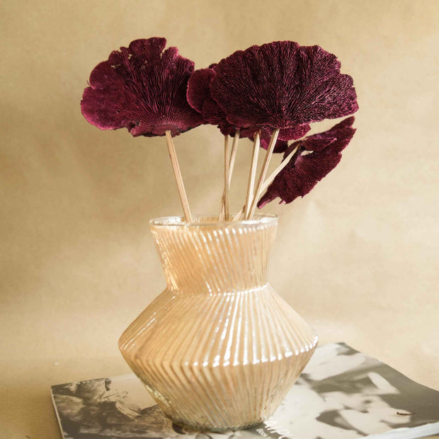 Red Sponge Mushroom Dried Flowers | Natural Long-Lasting Home Décor