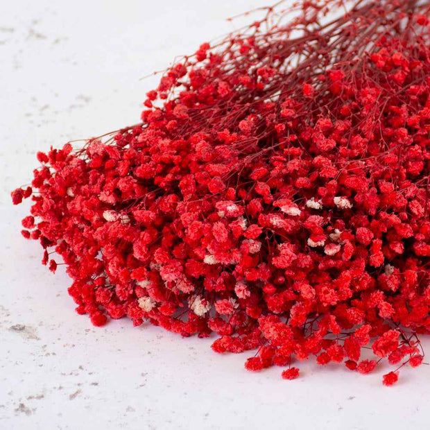 Red Baby Breath Dried Flowers for Vase Decor & Home Styling | ArteCasa