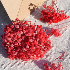 Red Baby Breath Dried Flowers for Vase Decor & Home Styling | ArteCasa - https://artecasa.in/