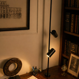 FDL132 Twin Focus Study Light