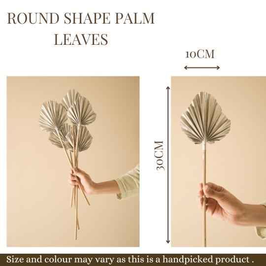 Round Shape Palm Leaves – Silver Dried Decorative Sticks (Set of 5)