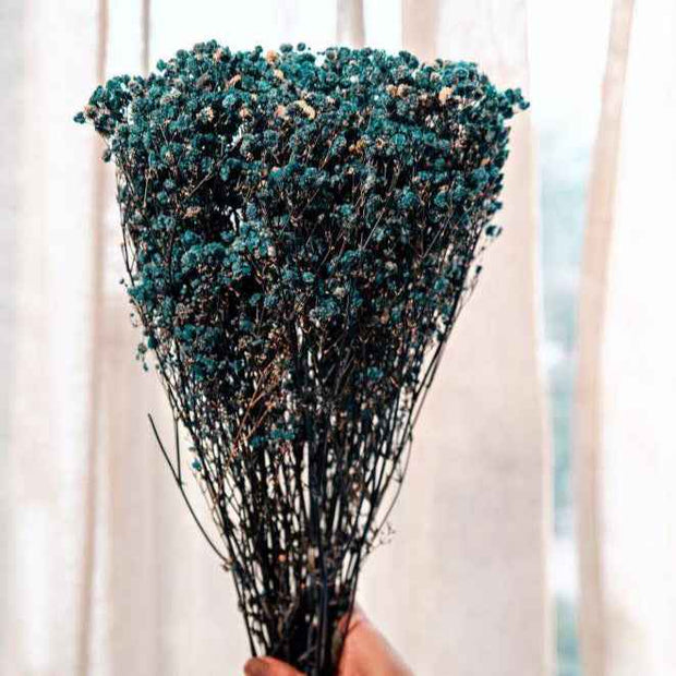 Royal Blue Baby Breath Dried Flowers