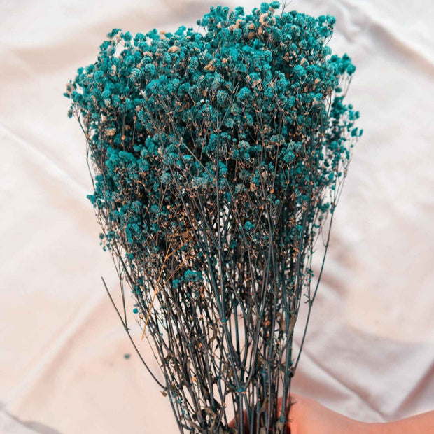 Royal Blue Baby Breath Dried Flowers