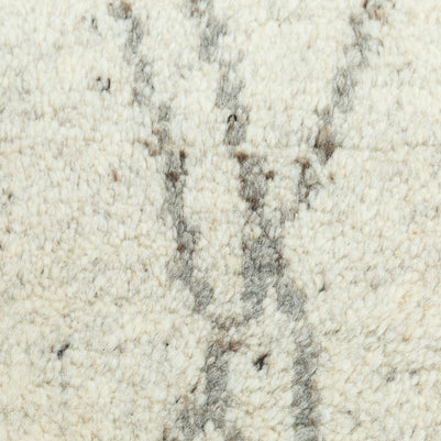 Carpet For Living room 5x8 Feet Beige and Brown Wool Rectangle Moroccan and Tribal Rug