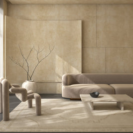 Carpet For Living room 8x10 Feet Ivory Wool Rectangle Moroccan and Tribal Rug