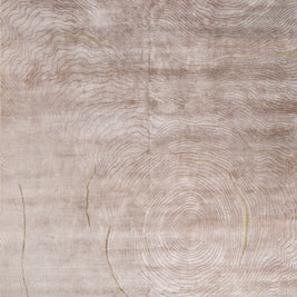 Carpet For Living room 5x8 Feet Beige and Brown Bamboo Silk and Zari Rectangle abstract Rug