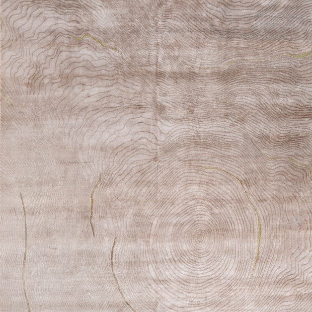 Carpet For Living room 5x8 Feet Beige and Brown Bamboo Silk and Zari Rectangle abstract Rug