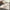 Carpet For Living room 5X8 Feet Ivory Wool & Viscose Rectangle Abstract Rug
