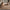 Carpet For Living room 5X8 Feet Beige And Brown Viscose Rectangle Solid Rug