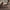 Carpet For Living room 5X8 Feet Beige And Brown Viscose Rectangle Solid Rug