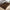 Carpet For Living room 5X8 Feet Beige And Brown Viscose Rectangle Solid Rug