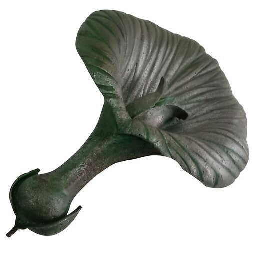 Fallen Flower
