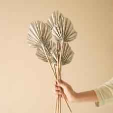 Round Shape Palm Leaves – Silver Dried Decorative Sticks (Set of 5)