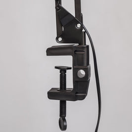 Swing Arm Desk Clamp-On-Lamp 30