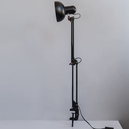 Swing Arm Desk Clamp-On-Lamp 30