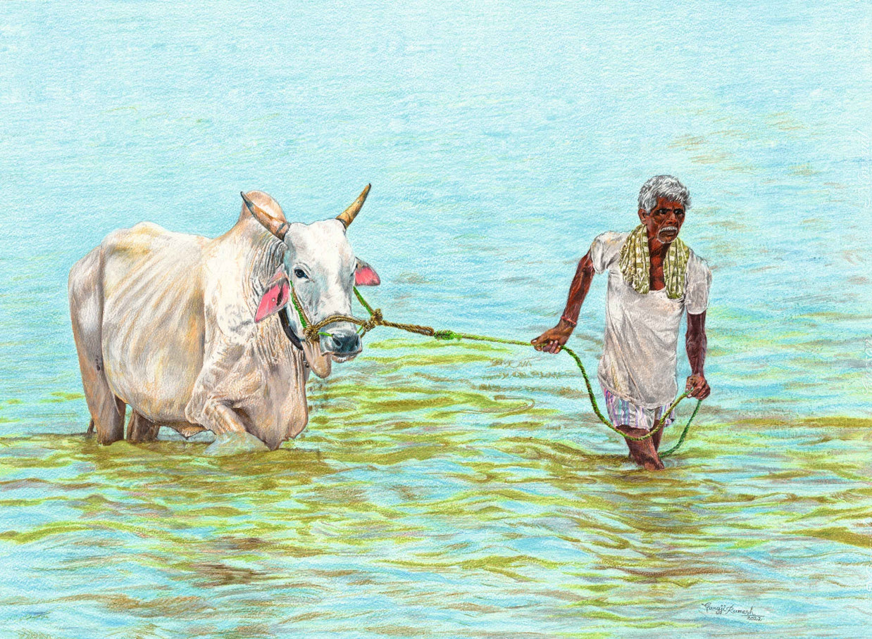 Through the waters of life