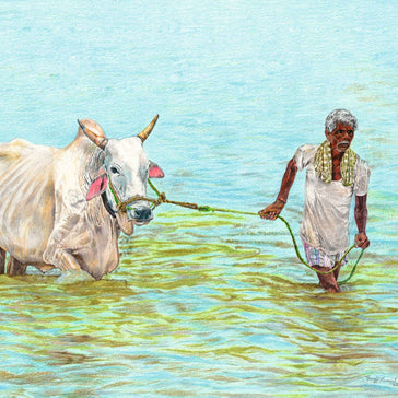 Through the waters of life