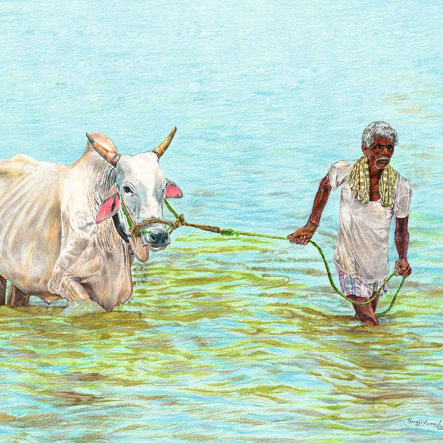 Through the waters of life