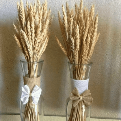 Natural Wheat Grass Dried Flowers Set of 30 | Vase Filler Home Decor