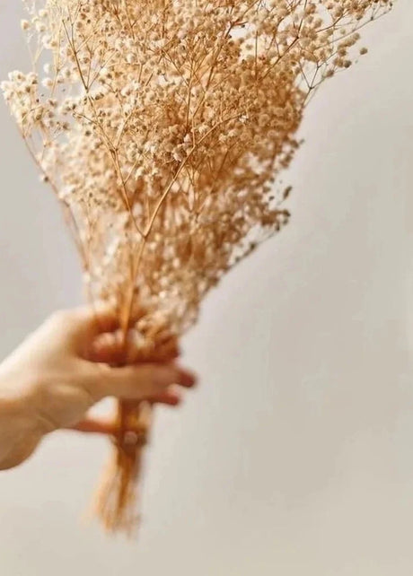White Baby Breath dried flowers bunch for vase decor and home styling by ArteCasa