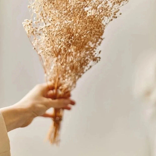White Baby Breath dried flowers bunch for vase decor and home styling by ArteCasa